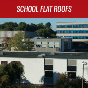 school flat roofs